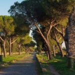 Discover The Ancient Appian Way in confort: a golf cart adventure - Practical Details and Considerations