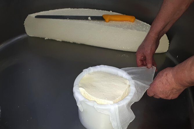 Discover the Art of Idiazabal Cheese in the Basque Country - Value and Cost Analysis