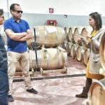 Discover the best cellars of Salento - Final Thoughts