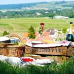 Discover The Cellars in The Heart of The Countryside in Champagne - Authentic Highlights from Guests