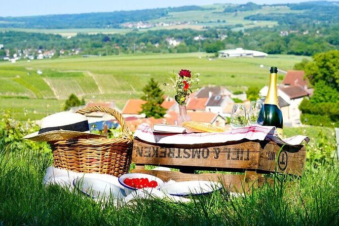 Discover The Cellars in The Heart of The Countryside in Champagne - Authentic Highlights from Guests