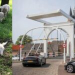 Discover the Dutch Countryside: Car Tour with Local Expert - The Practical Side of the Tour