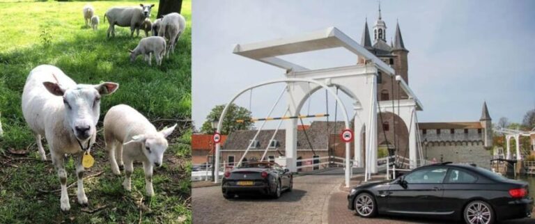 Discover the Dutch Countryside: Car Tour with Local Expert - The Practical Side of the Tour