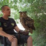 Discover the fantastic world of birds of prey in the Pollino National Park. - A detailed look at the Pollino National Park bird of prey tour