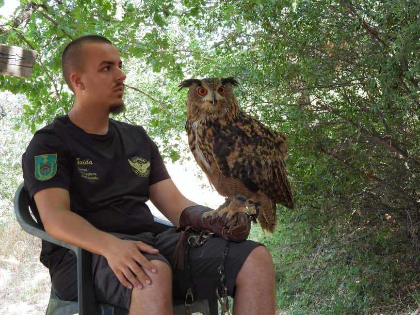 Discover the fantastic world of birds of prey in the Pollino National Park. - A detailed look at the Pollino National Park bird of prey tour