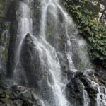 Discover the Hidden Gems of São Miguel - Full Day Private Tour - In-Depth Look at the Itinerary