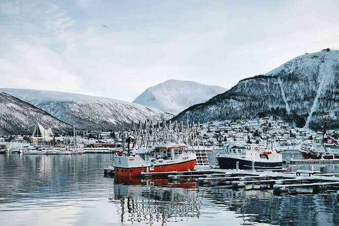 Discover the most Photogenic Spots of Tromsø with a Local - Practical Details and Value