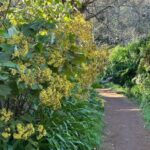 Discover the Paradise Valley - a quick escape for Everyone - Guide and Group Dynamics