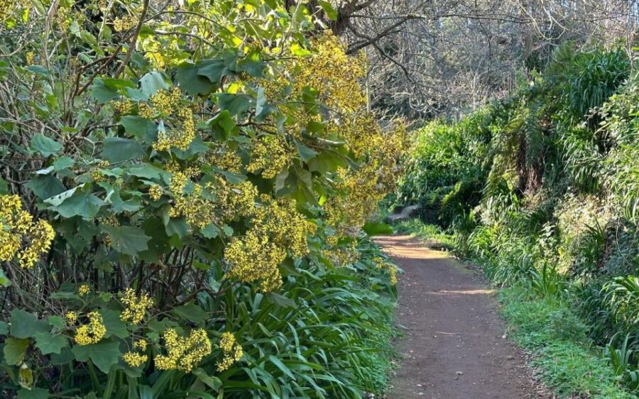 Discover the Paradise Valley - a quick escape for Everyone - Guide and Group Dynamics