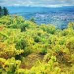 Discover the unique wine and villages of the Sierra de Salamanca - Final Thoughts