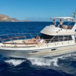 Discover whales in Tenerife: exclusive yacht tour with swimming and lunch. - The Itinerary Breakdown