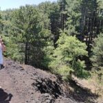 Discover Your Sicilian Roots: Personalized Tour - Who Will Love This Tour?