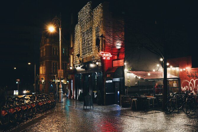Discovering Dublin on a Private Christmas Walking Tour - Who Will Love This Tour?