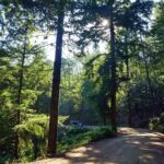 Discovering Nature in Serra da Lousã - Final Thoughts