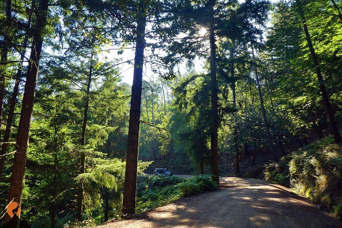 Discovering Nature in Serra da Lousã - Final Thoughts