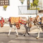 Discovering the Best of Mijas Private Guided Tour - Who would love this tour?