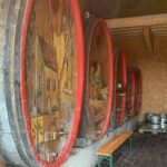 Discovery and Tasting of Biodynamic Wine in Alsace - Final Thoughts: Is It Worth It?