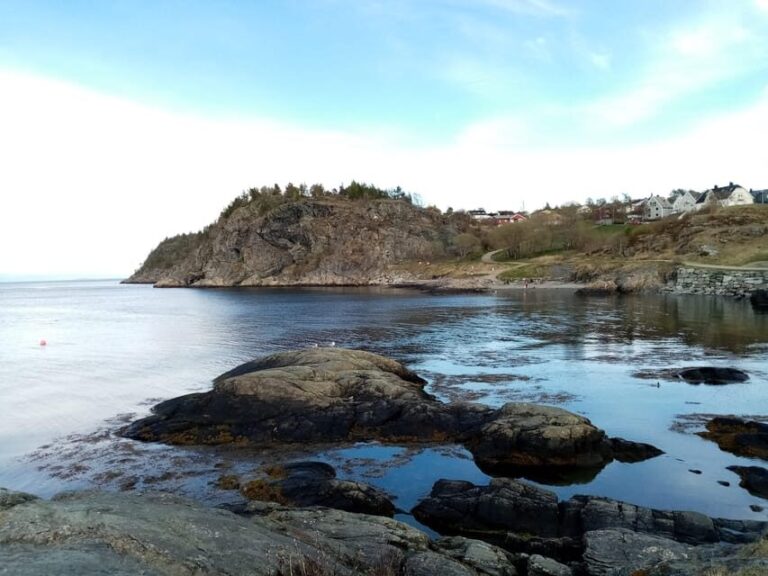 Discovery hike along the Trondheimsfjord - The Guides and Their Insights