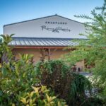 Discovery of a Champagne from Vintner, from the cellar to the tasting - An Honest Look at the Itinerary