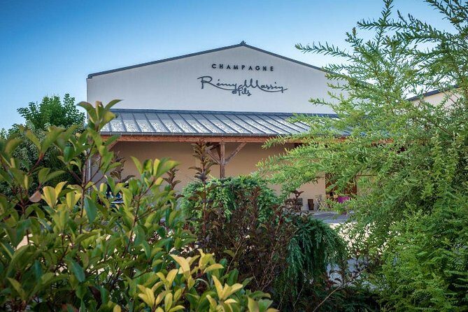 Discovery of a Champagne from Vintner, from the cellar to the tasting - An Honest Look at the Itinerary