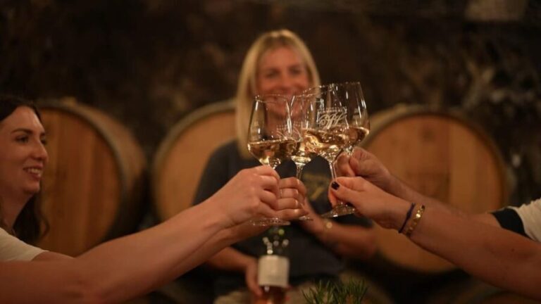 Discovery tour - cellar tour with wine tasting - An In-Depth Look at the Koblenz Cellar Tour