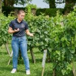 Discovery Tour of Château Haut Breton Larigaudière - Why This Tour Works Well for Travelers