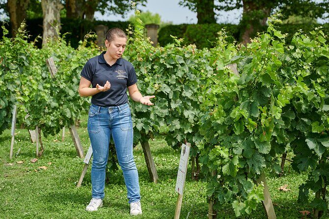 Discovery Tour of Château Haut Breton Larigaudière - Why This Tour Works Well for Travelers