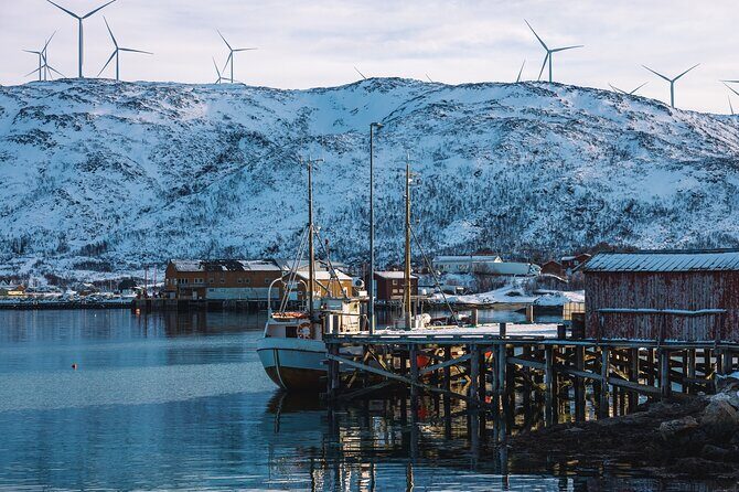 Discovery tour of the island of Senja and Kvaløya from Tromsø - Analyzing the Value of the Tour