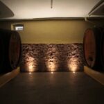 Discovery Vineyard - Who Should Consider This Tour?