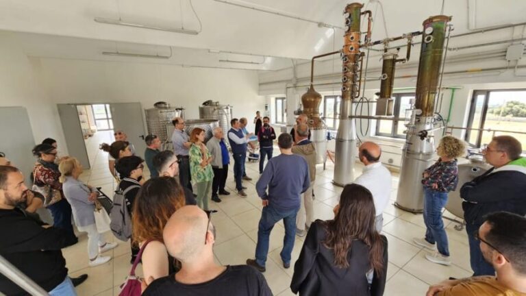 Distilleria Alma- Rum Distilery Guided Tour & Tasting - A Closer Look at the Alma Rum Tour