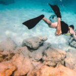 DiveSnap Underwater Sports Thrills:Lantern Point & P31 Wreck - Analyzing the Cost and Value