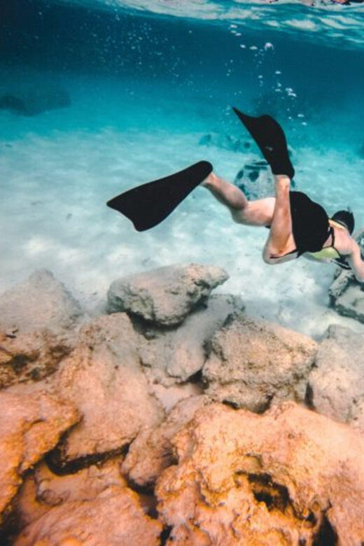 DiveSnap Underwater Sports Thrills:Lantern Point & P31 Wreck - Analyzing the Cost and Value