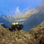 Diving baptism in the Marine Reserve of Cabo Tiñoso - Why Choose This Tour?