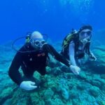 Diving course for beginners in turtle area Tenerife - Key Points
