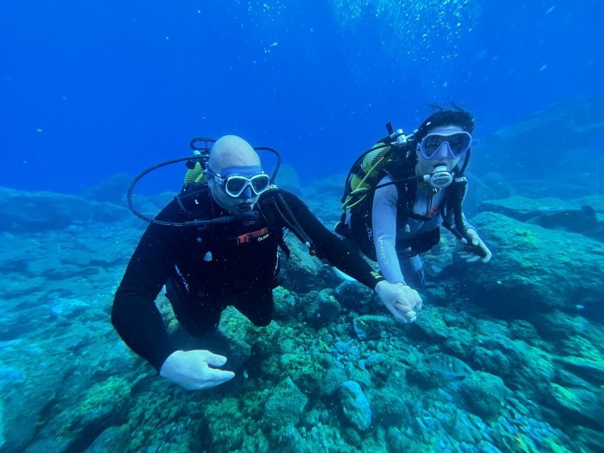 Diving course for beginners in turtle area Tenerife - Key Points