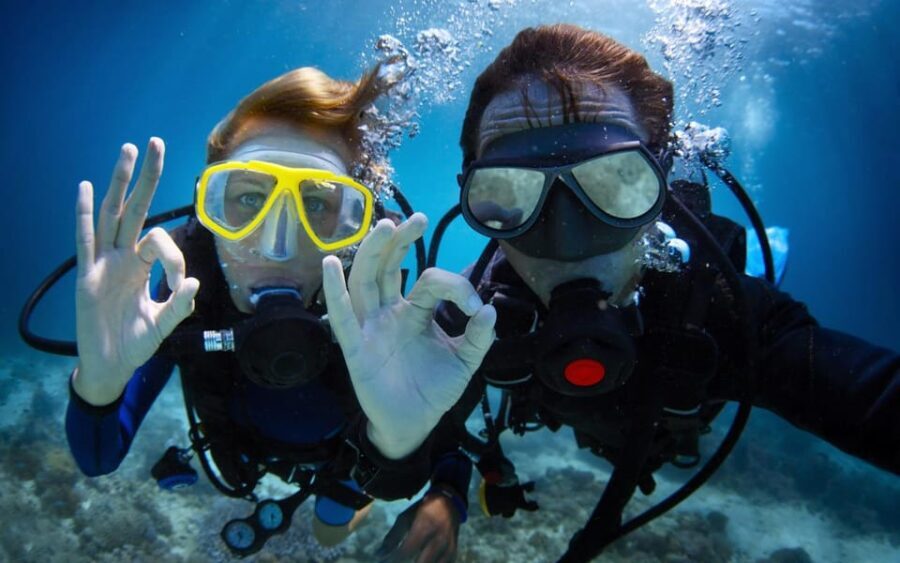 Diving Tour from Alanya & Side with Lunch - 2 Dives Included - What to Expect During the Day
