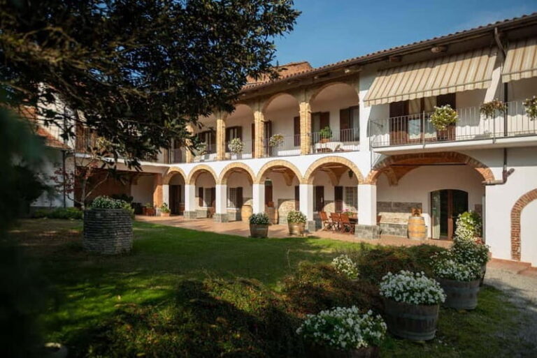 Dogliani: Tasting of 7 Wines in the Heart of the Langhe - Practical Details and Value