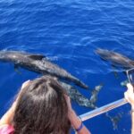 Dolphin and Whales watching cruise from Puerto Rico de Gran Canaria - Frequently Asked Questions