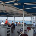 DOLPHIN LOVERS FULL DAY TOUR - Practical Details and What They Mean for You