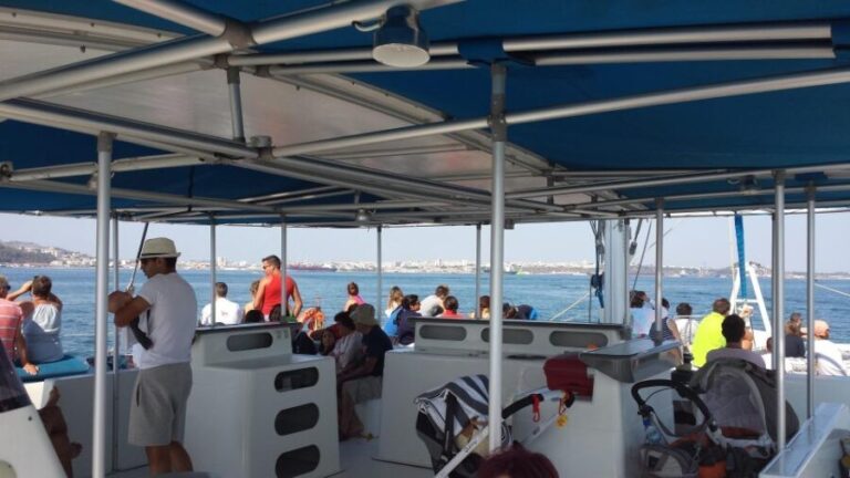 DOLPHIN LOVERS FULL DAY TOUR - Practical Details and What They Mean for You