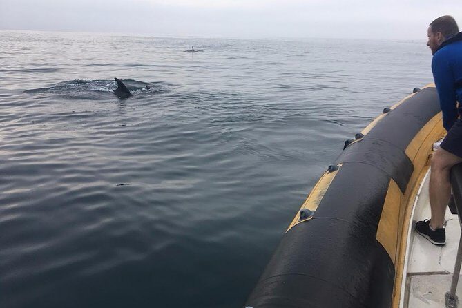 Dolphin Route - Who Will Love the Dolphin Route?