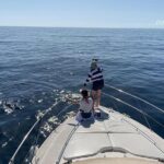 Dolphin Searching Tour in Puerto de Mogán ("KEEPER UNO" Boat) - What to Expect From the Itinerary