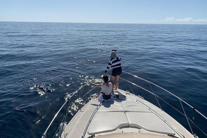 Dolphin Searching Tour in Puerto de Mogán ("KEEPER UNO" Boat) - What to Expect From the Itinerary