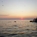 Dolphin Sunrise Adventure with Speedboat - Final Thoughts: Who Will Love This Tour?