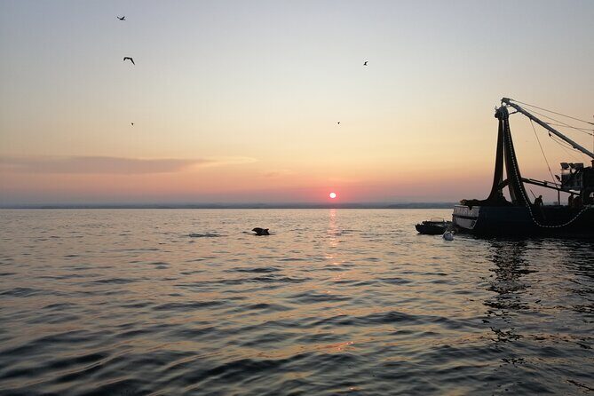 Dolphin Sunrise Adventure with Speedboat - Final Thoughts: Who Will Love This Tour?