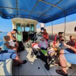 Dolphin tour 2 hours - Value and Pricing Analysis