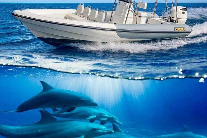 Dolphin Tours in Fuerteventura - Who Is This Tour Best For?