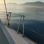 Dolphin trips on a catamaran - FAQs