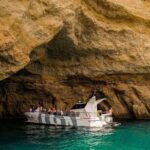 Dolphin Watching and Cave Boat Cruise from Albufeira - Who Is This Tour Best For?