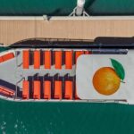 DOLPHIN WATCHING & BENAGIL CAVE TOUR FROM LAGOS - DUAL TRIP - Who Will Love This Tour?